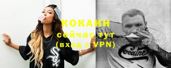 шишки Алексин