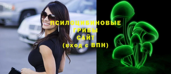шишки Алексин