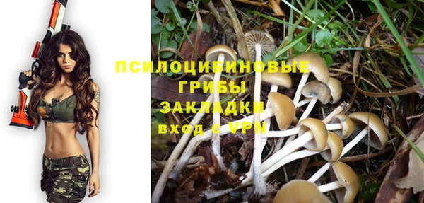 таблы Алзамай