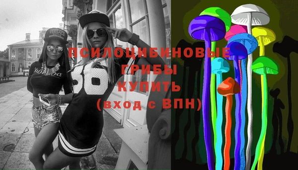 шишки Алексин