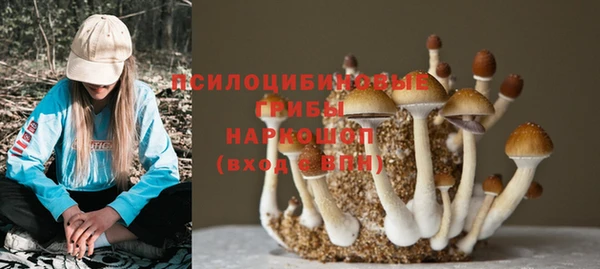 таблы Алзамай