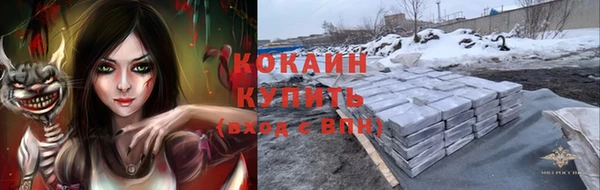 шишки Алексин