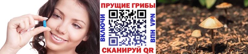 Галлюциногенные грибы Psilocybine cubensis  Невинномысск 